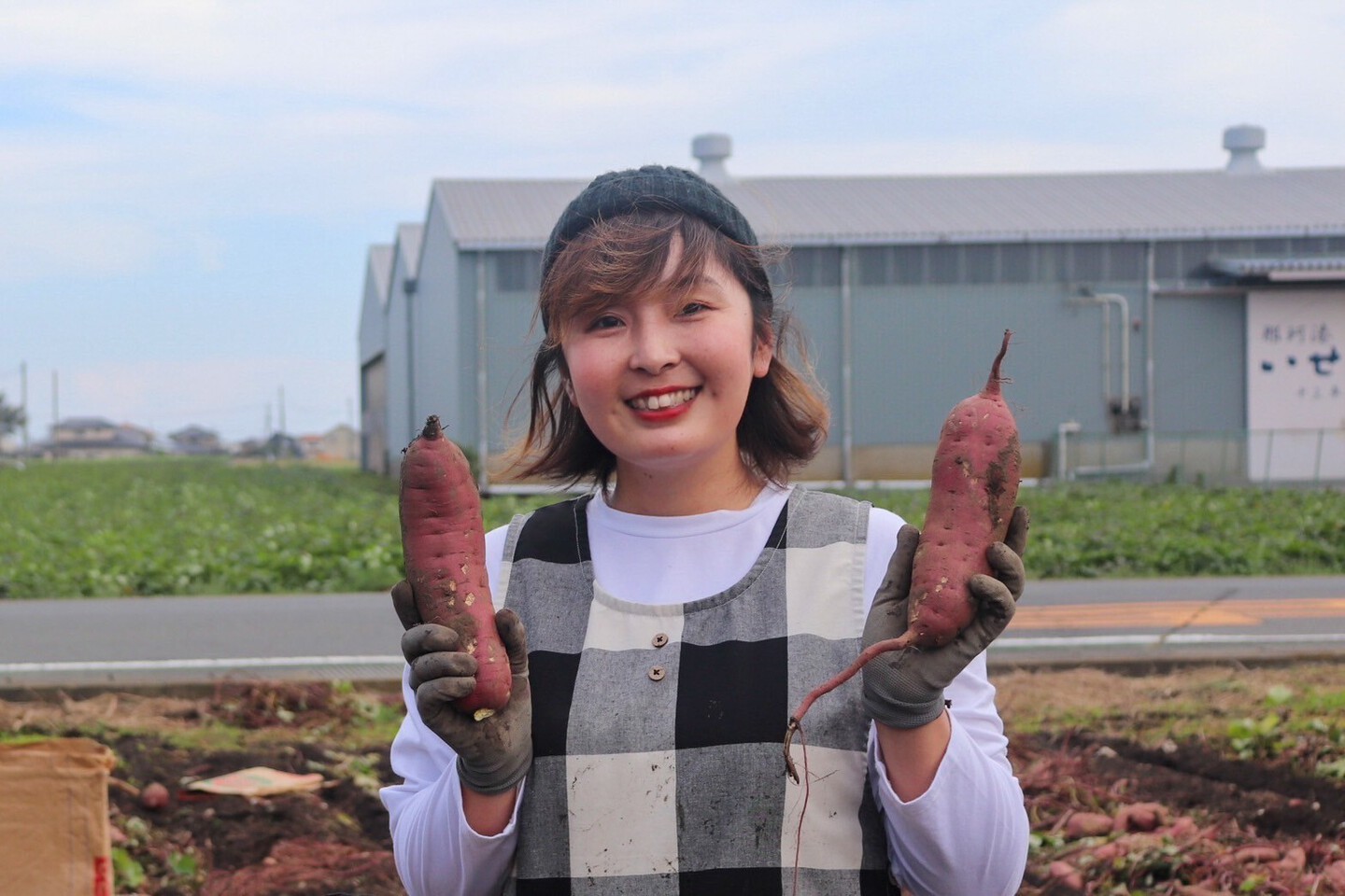 だるまやさんのほしいも｜丸干し｜天日干し