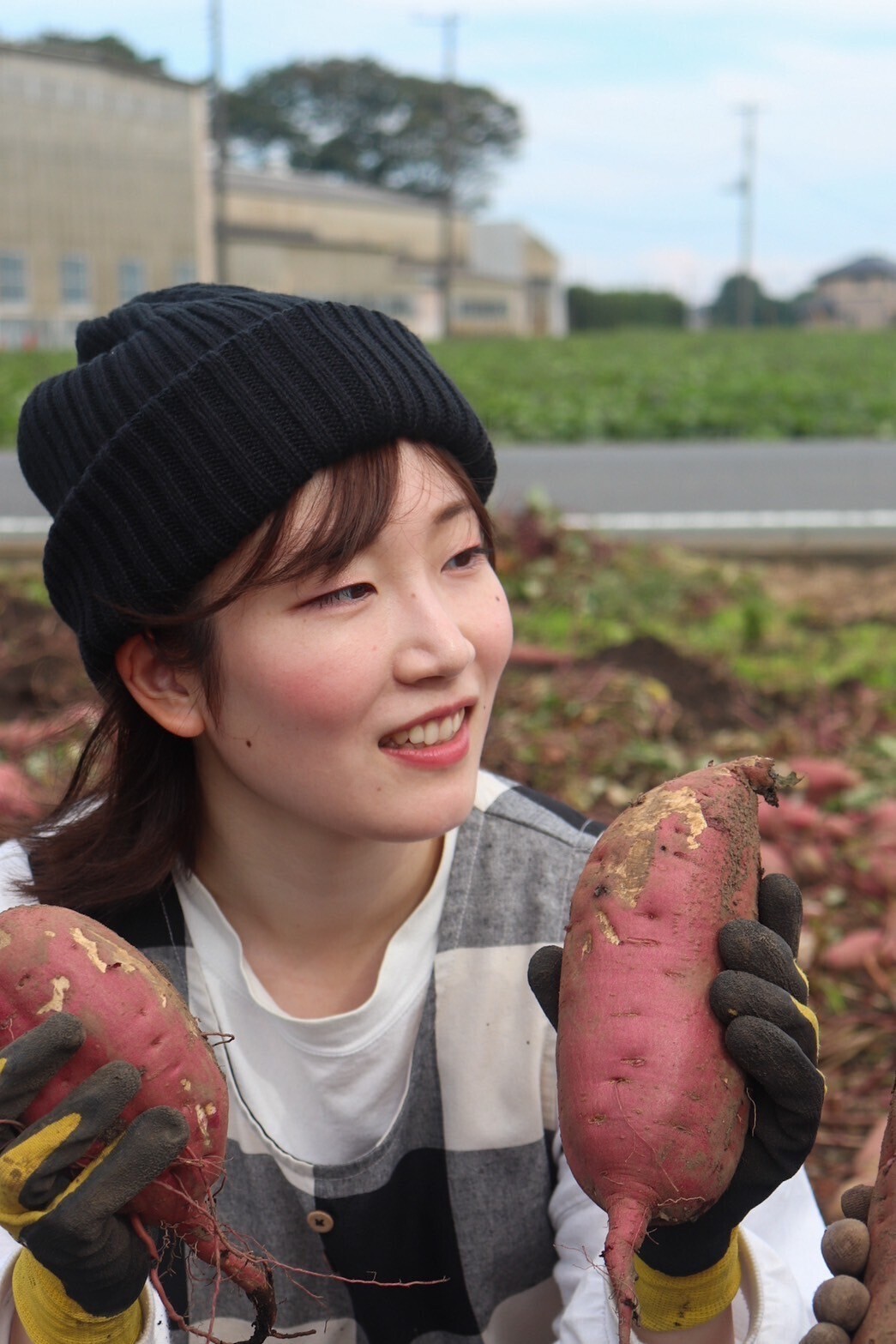 だるまやさんのほしいも｜丸干し｜天日干し